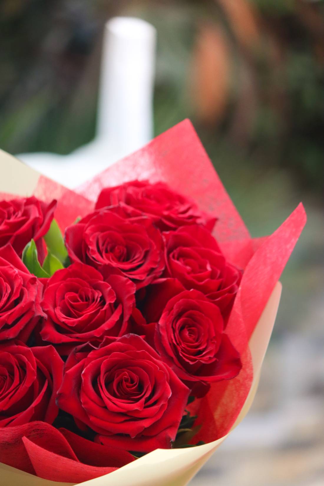 Amor Mediano